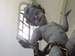 DSCN5144.jpg
