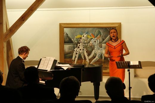 Kulturní program