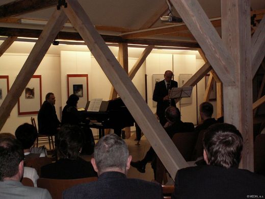 Kulturní program